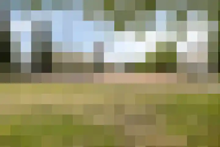 Margrietberg 14 Roosendaal thumbnail 38