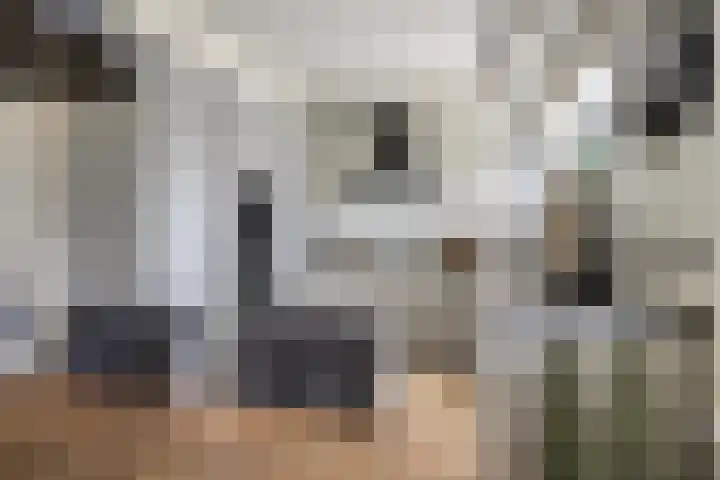 Margrietberg 14 Roosendaal thumbnail 7