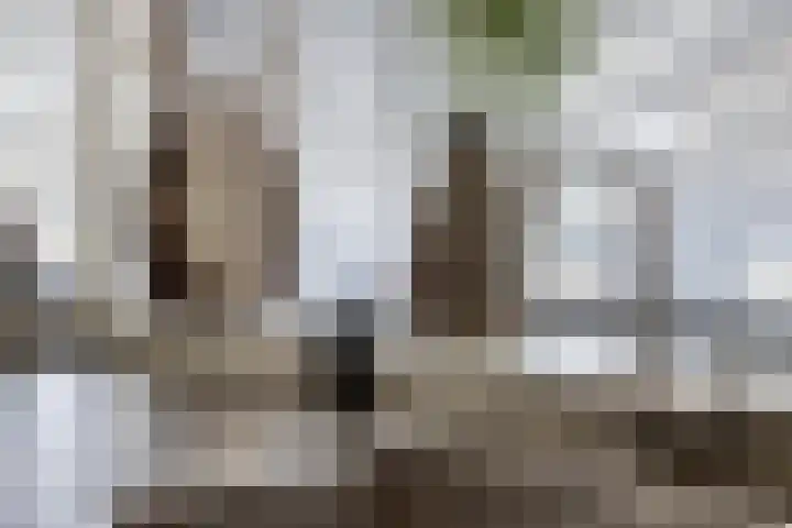 Margrietberg 14 Roosendaal thumbnail 9