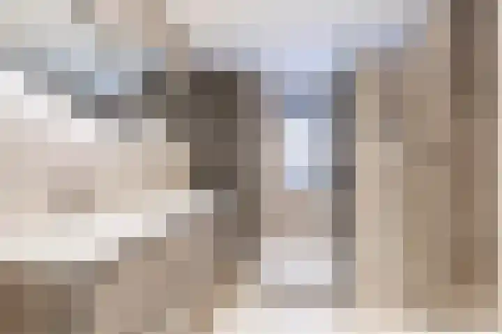 Margrietberg 6 Roosendaal thumbnail 6