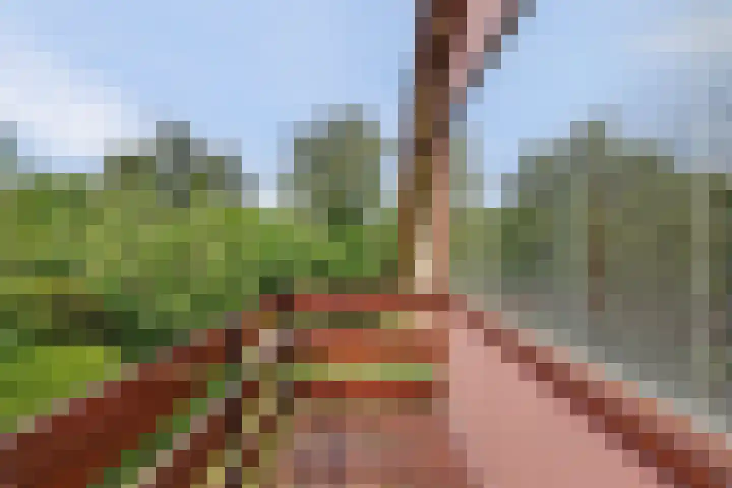 Margrietenlaan 15 Oostkapelle thumbnail 26
