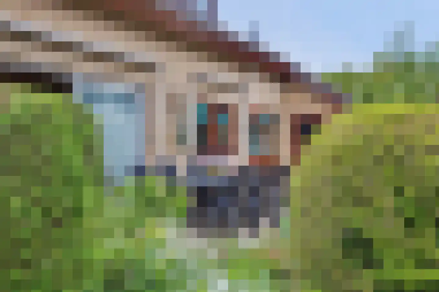 Margrietenlaan 15 Oostkapelle thumbnail 27