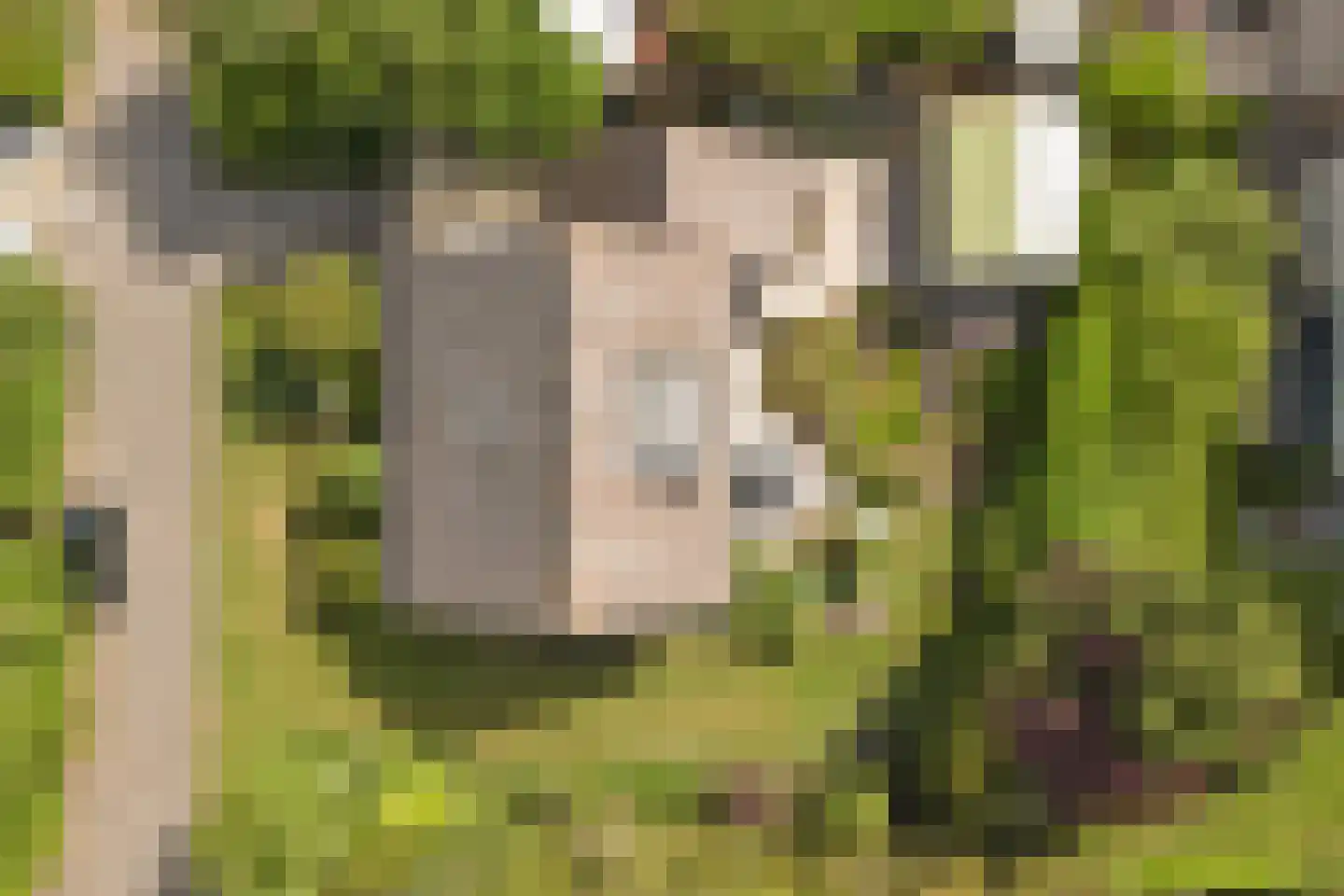 Margrietenlaan 15 Oostkapelle thumbnail 33