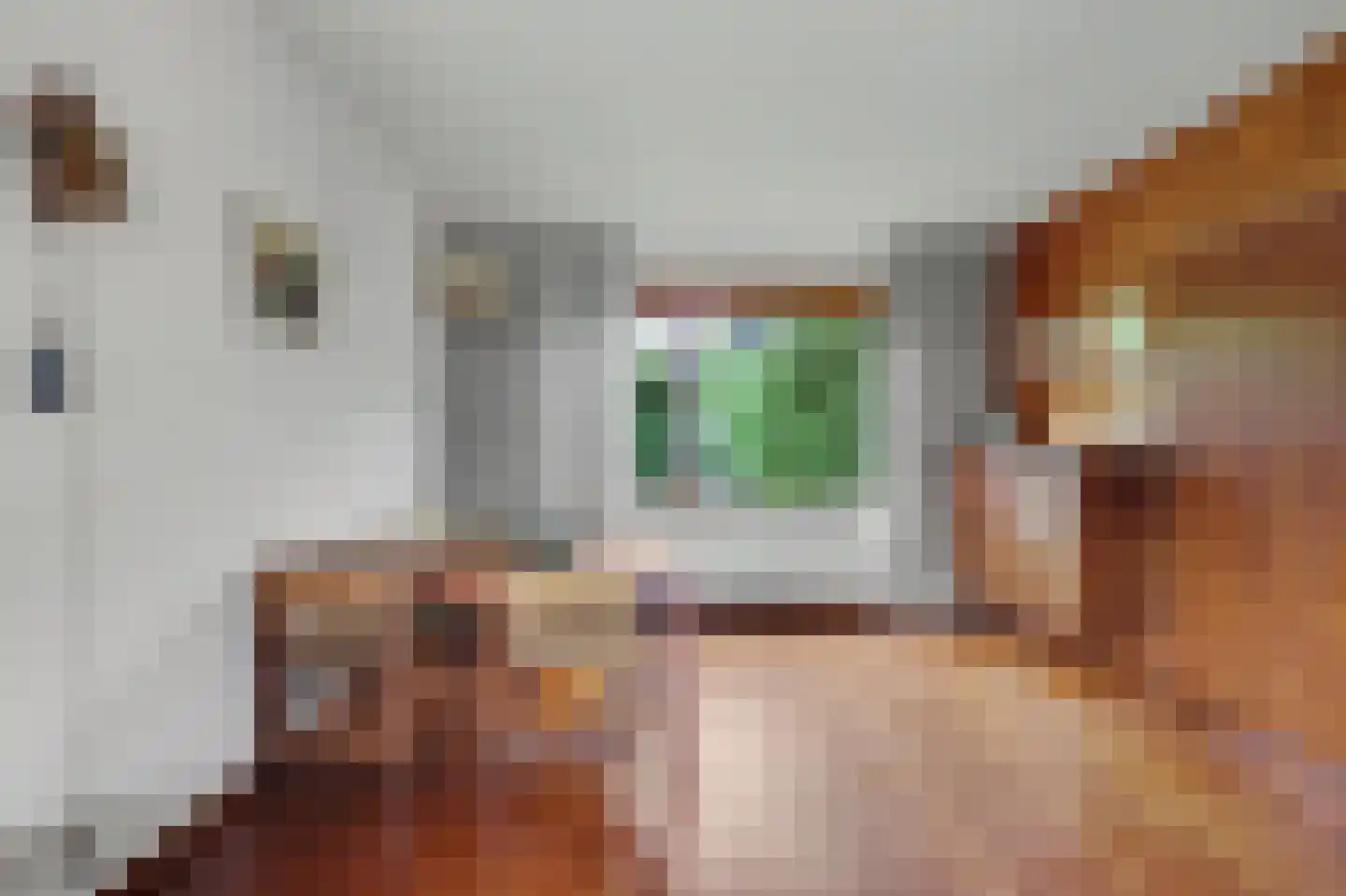 Margrietenlaan 15 Oostkapelle thumbnail 7