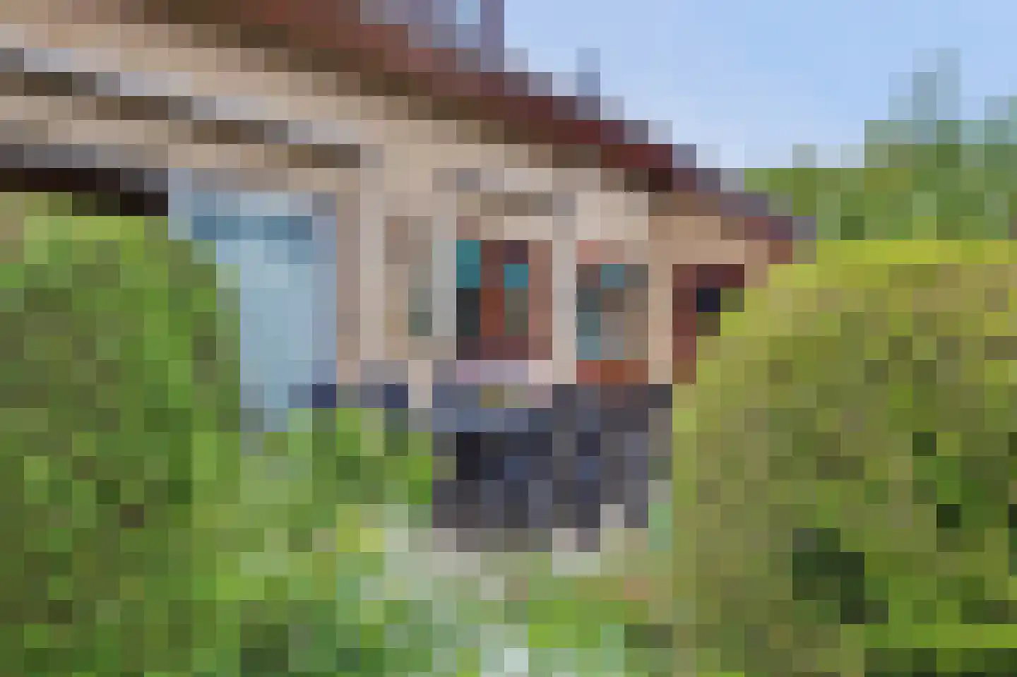 Margrietenlaan 17 Oostkapelle thumbnail 27