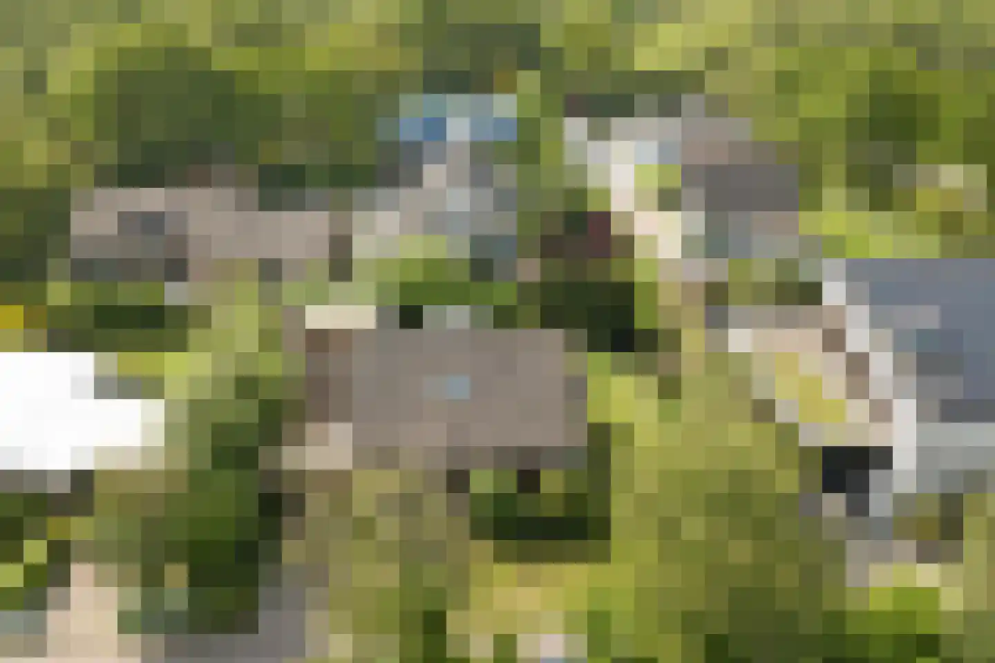 Margrietenlaan 17 Oostkapelle thumbnail 32