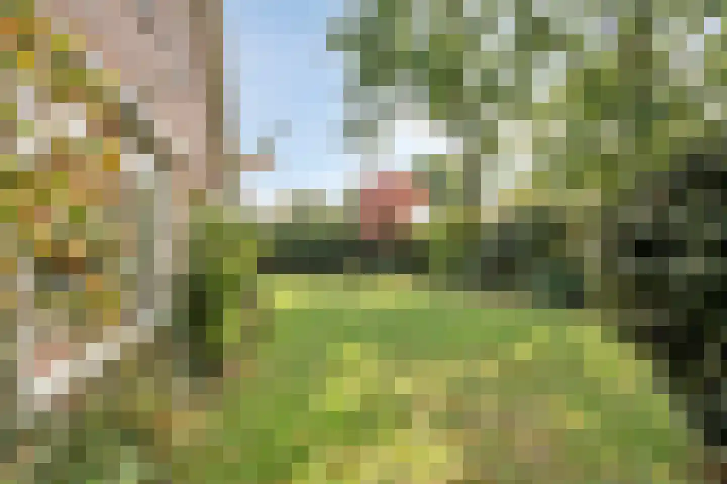 Margrietenlaan 22 Oostkapelle thumbnail 38