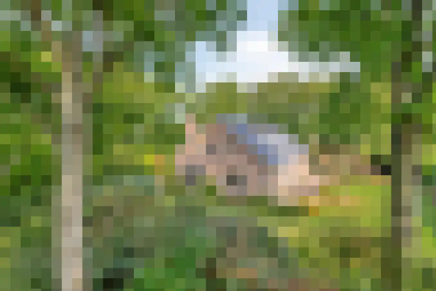 Margrietenlaan 22 Oostkapelle thumbnail 4