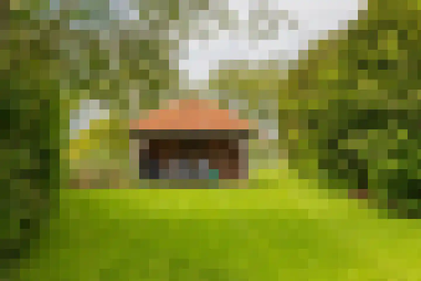 Margrietenlaan 44 Hillegom thumbnail 54