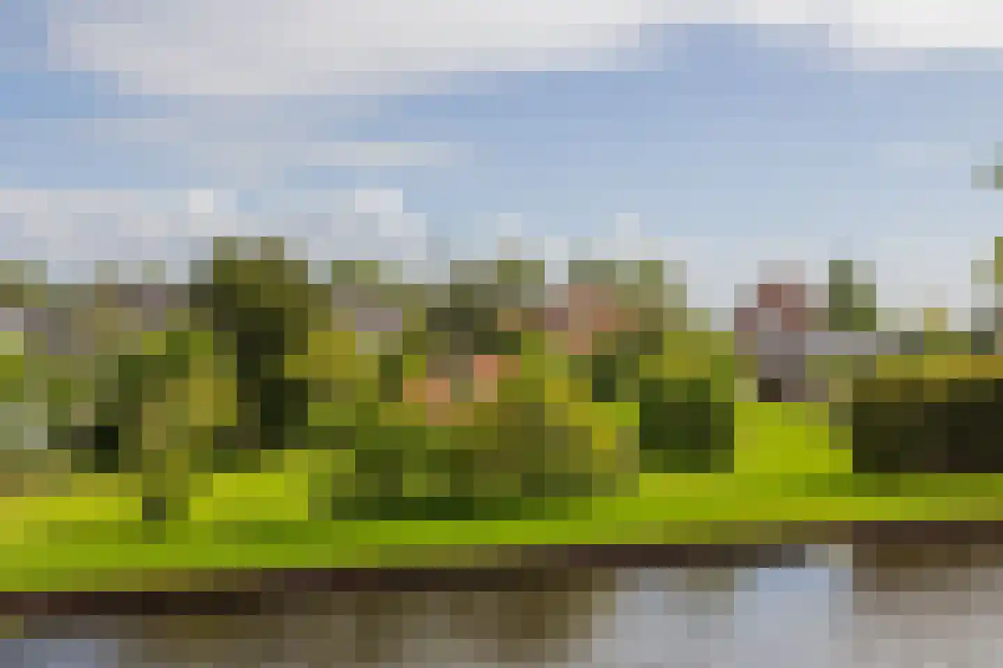 Margrietenlaan 44 Hillegom thumbnail 56