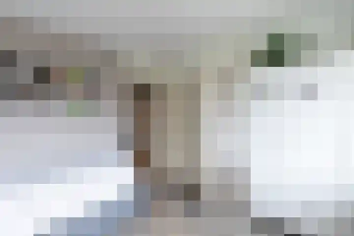 Margriethof 16 Papendrecht thumbnail 19