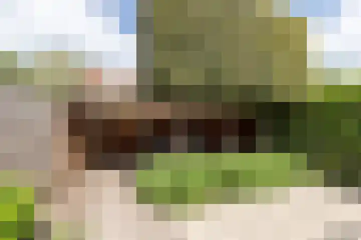 Margriethof 16 Papendrecht thumbnail 32