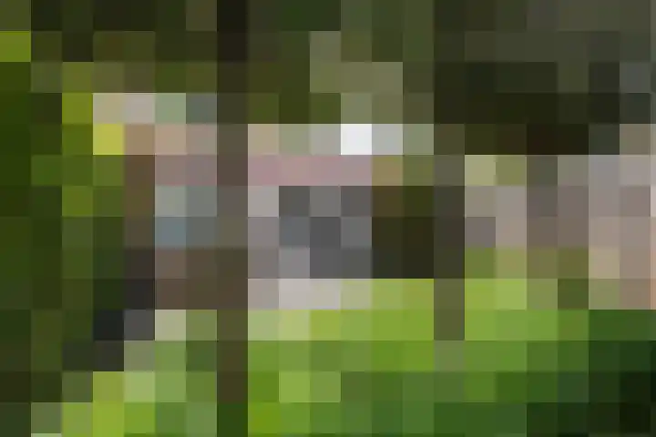 Margriethof 16 Papendrecht thumbnail 36