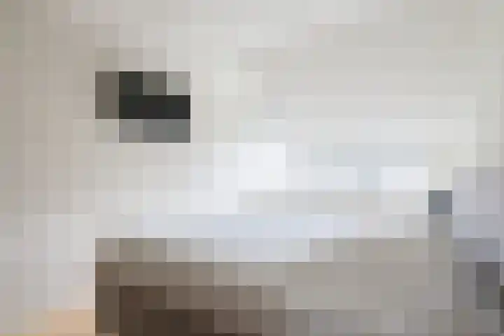 Margriethof 4 Hengelo (Gld) thumbnail 32