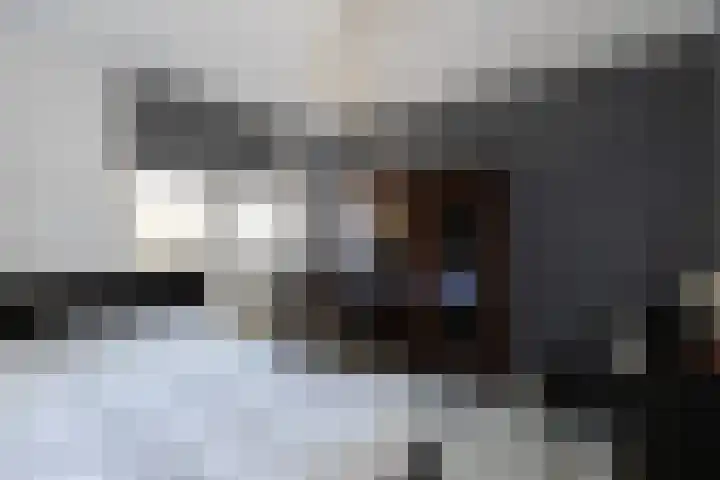 Margriethof 52 Papendrecht thumbnail 13