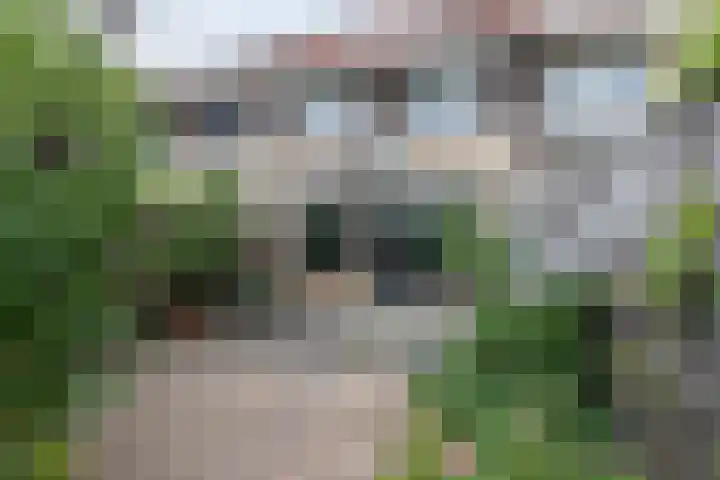 Margriethof 52 Papendrecht thumbnail 19