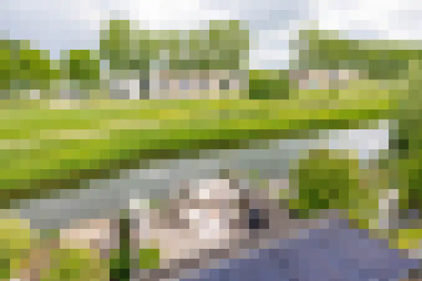 Margriethof 65 Papendrecht thumbnail 45
