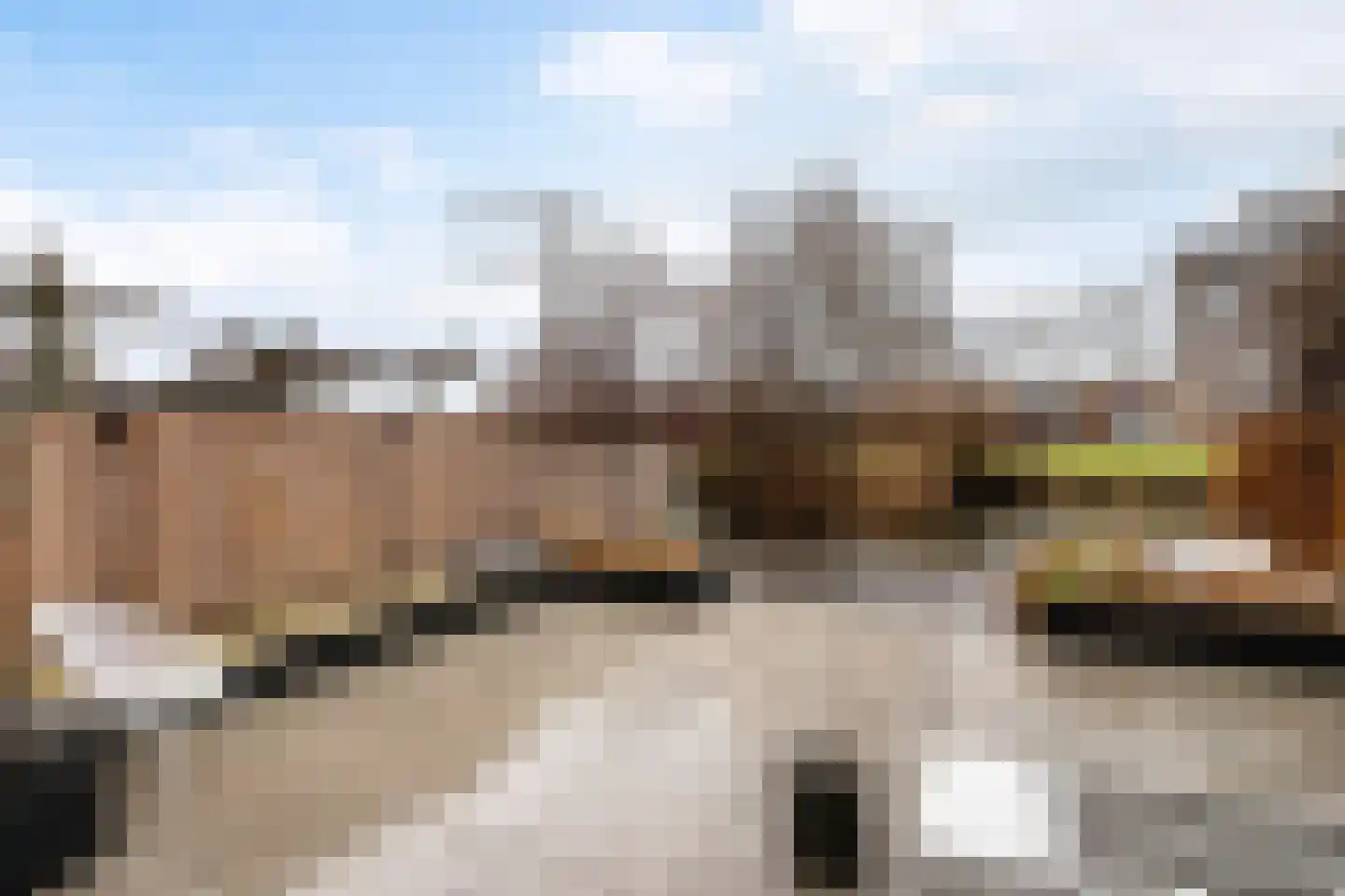 Margriethof 93 Papendrecht thumbnail 45