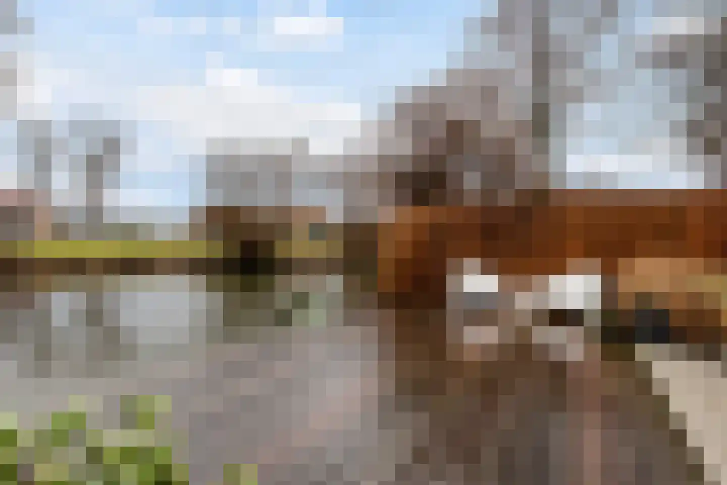Margriethof 93 Papendrecht thumbnail 48