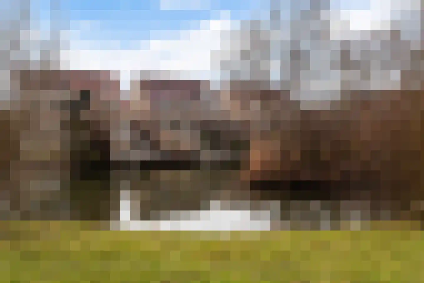 Margriethof 93 Papendrecht thumbnail 53