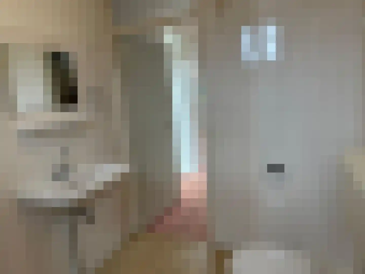 Margrietlaan 1 't Veld thumbnail 14