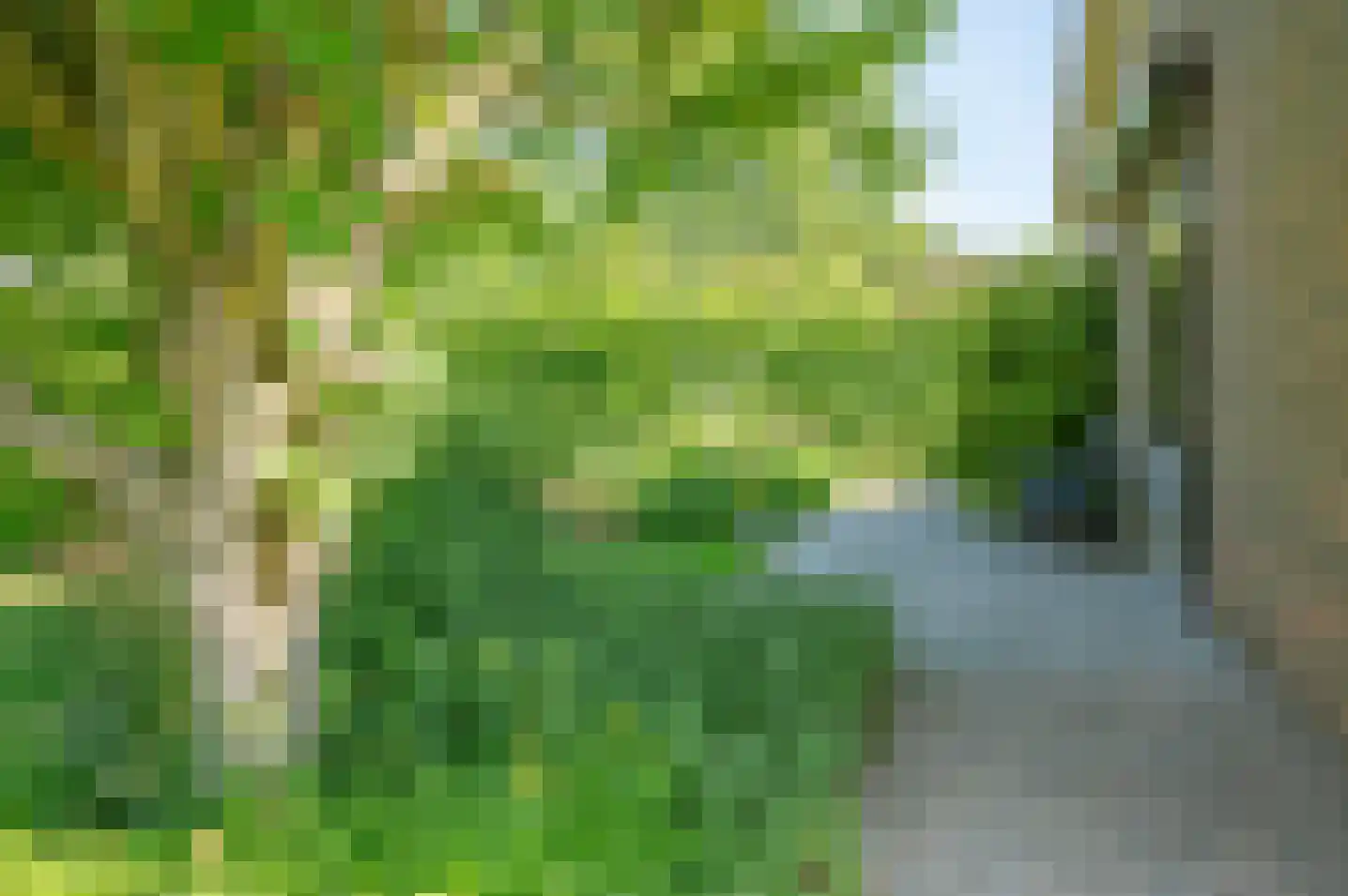 Margrietlaan 1 Vorden thumbnail 38