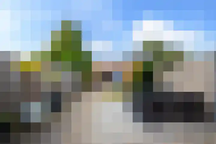 Margrietlaan 10 Bladel thumbnail 22