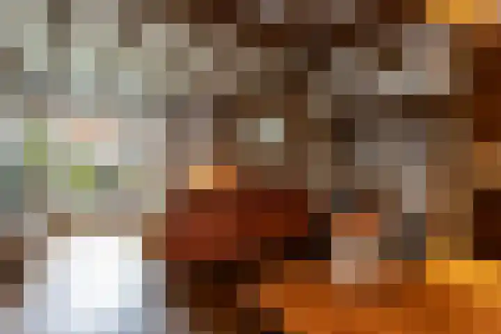 Margrietlaan 10 Bladel thumbnail 4