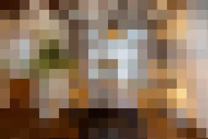 Margrietlaan 10 Bladel thumbnail 7