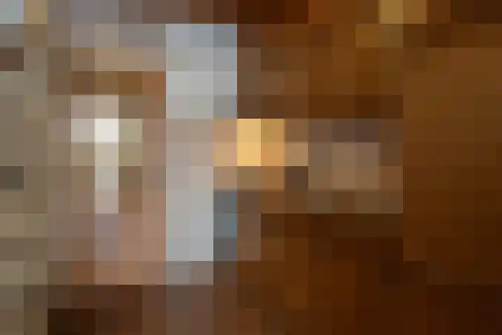 Margrietlaan 10 Bladel thumbnail 9