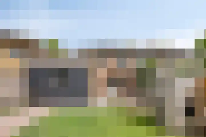 Margrietlaan 10 Harskamp thumbnail 5