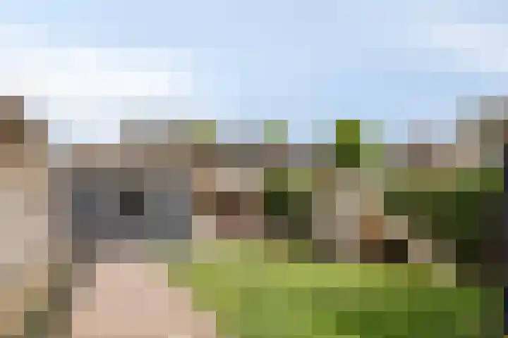 Margrietlaan 10 Harskamp thumbnail 6