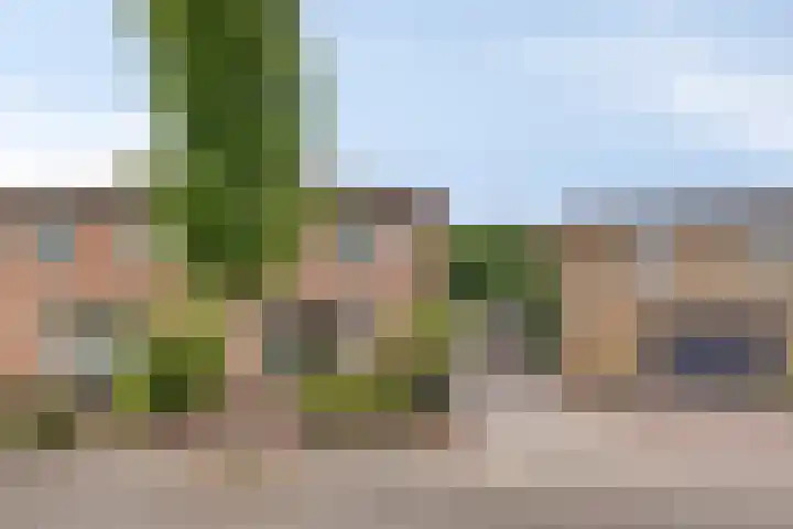 Margrietlaan 10 Harskamp thumbnail 9