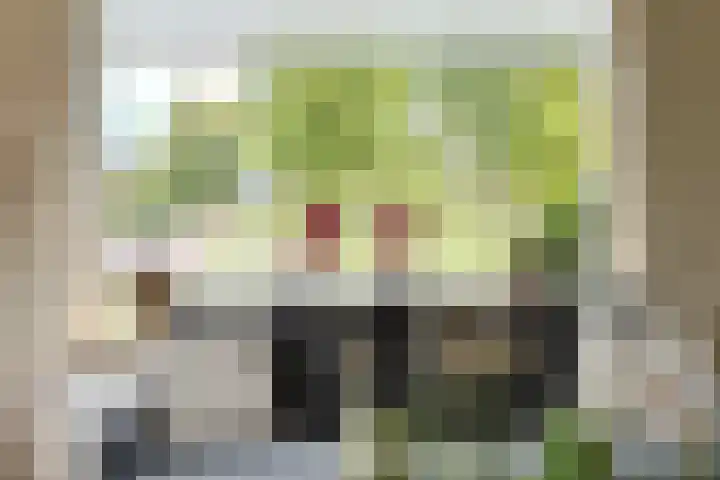 Margrietlaan 10 Vorden thumbnail 12
