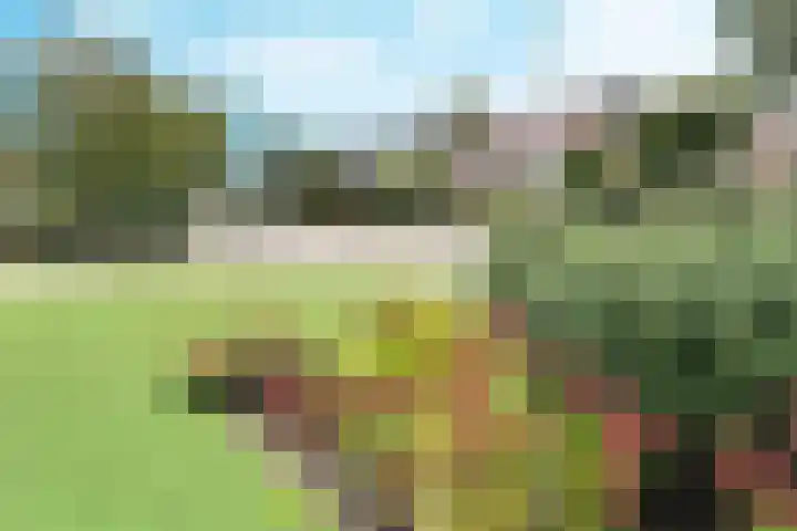 Margrietlaan 10 Vorden thumbnail 35