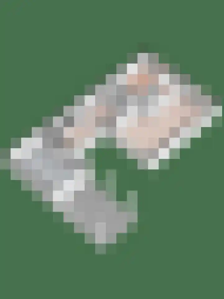 Margrietlaan 10 Vorden thumbnail 38