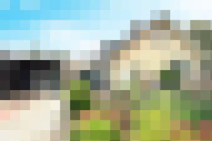 Margrietlaan 10 Vorden thumbnail 5