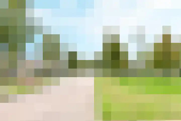 Margrietlaan 10 Vorden thumbnail 6