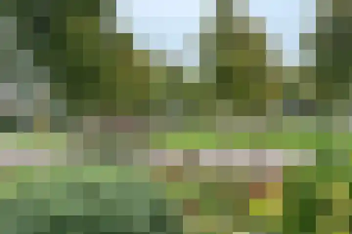 Margrietlaan 10 Vorden thumbnail 7