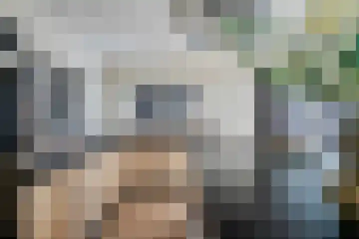 Margrietlaan 13 Vlijmen thumbnail 10