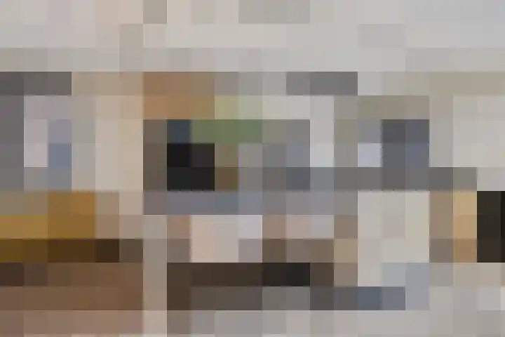 Margrietlaan 13 Vlijmen thumbnail 12