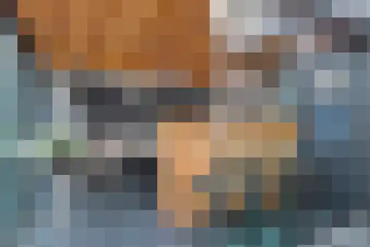 Margrietlaan 13 Vlijmen thumbnail 15