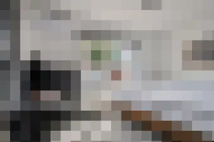 Margrietlaan 13 Vlijmen thumbnail 20