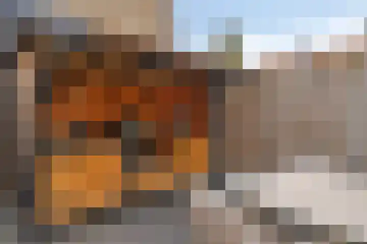 Margrietlaan 13 Vlijmen thumbnail 35