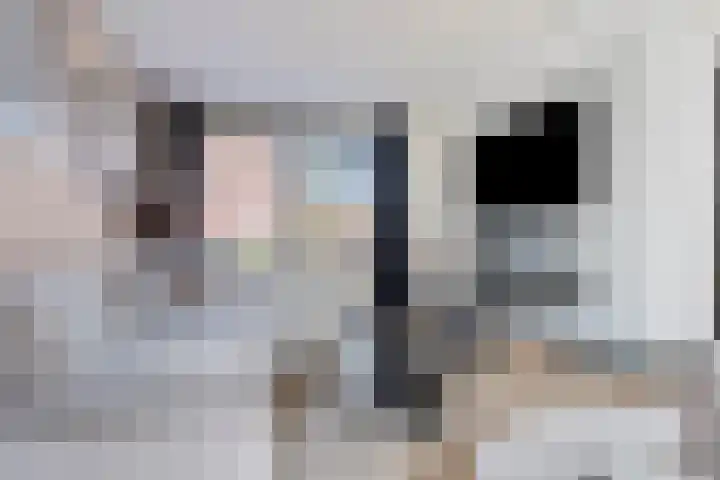 Margrietlaan 13 Vlijmen thumbnail 4