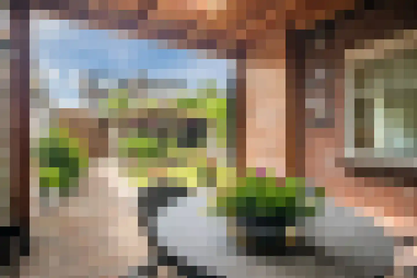 Margrietlaan 15 Ruurlo thumbnail 39