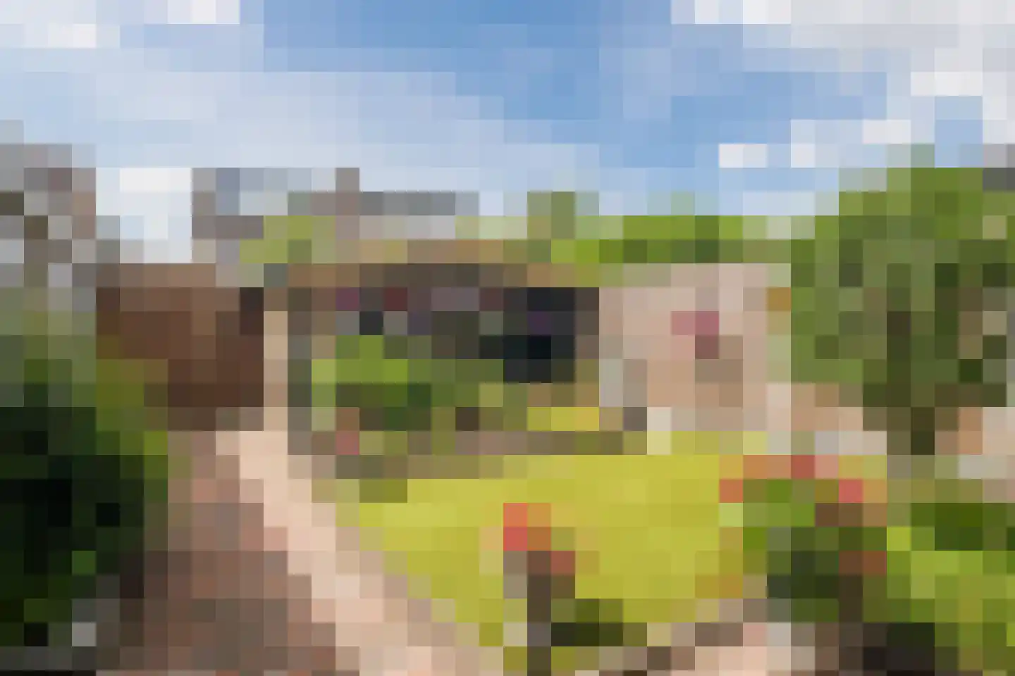 Margrietlaan 15 Ruurlo thumbnail 6