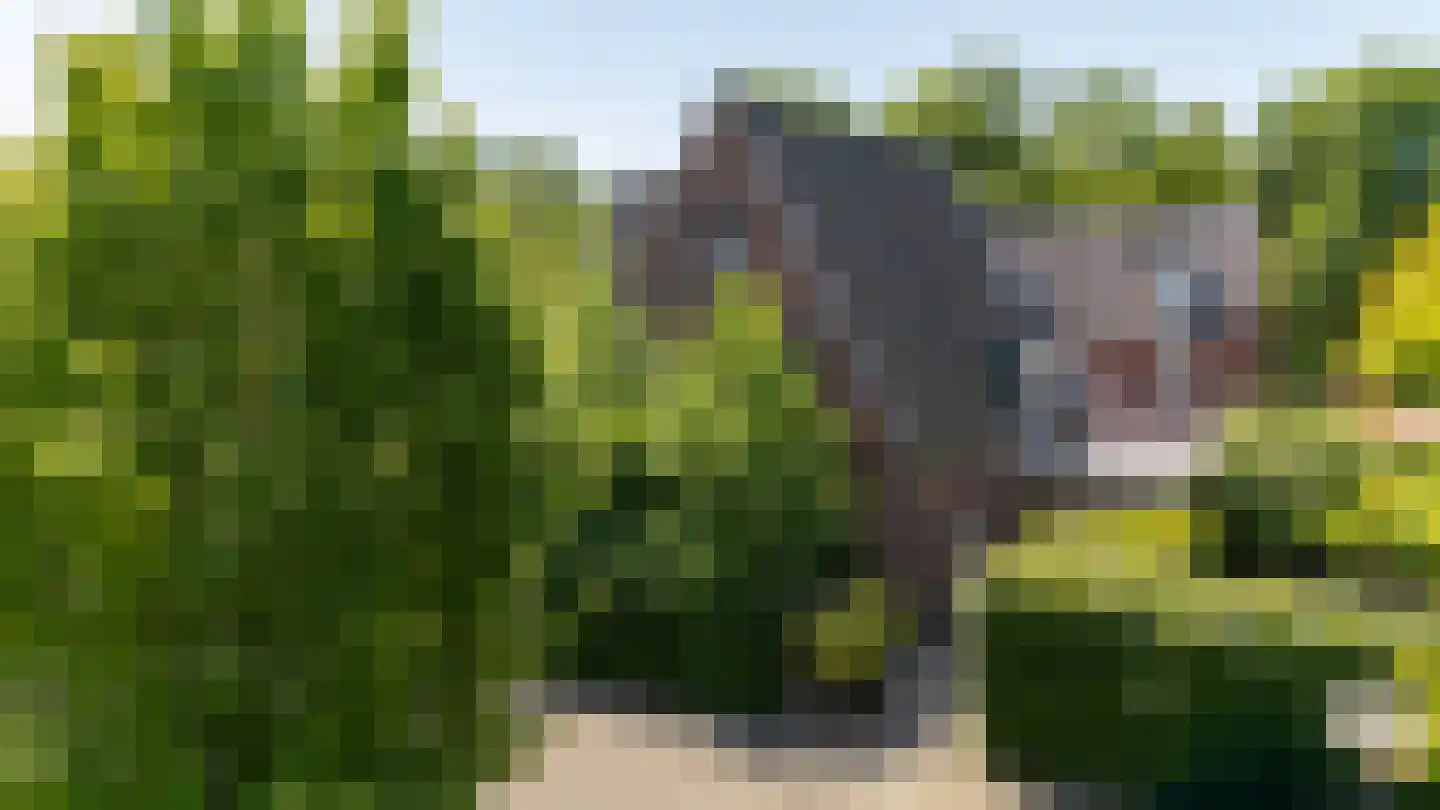 Margrietlaan 17 Vught thumbnail 4