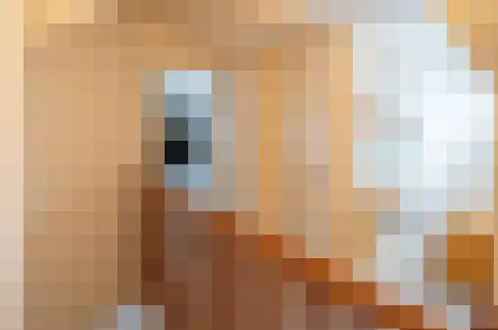 Margrietlaan 2 a Vorden thumbnail 37