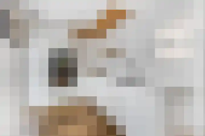 Margrietlaan 20 Ede thumbnail 11